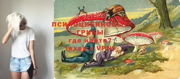 твердый Алзамай