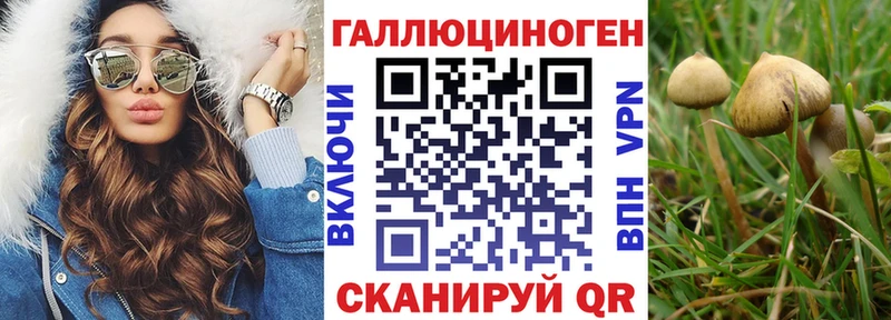 Псилоцибиновые грибы мицелий  где продают наркотики  Серов 