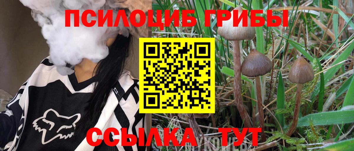 Псилоцибиновые грибы MAGIC MUSHROOMS  Вход с VPN  Серов 