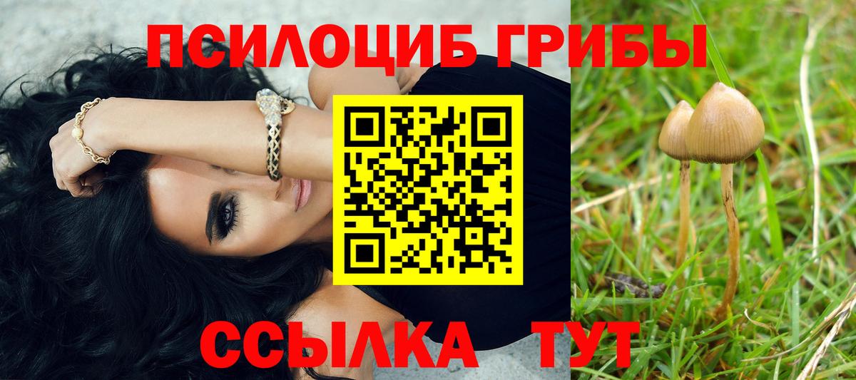 Псилоцибиновые грибы GOLDEN TEACHER Серов